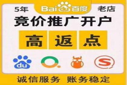 案例分析：利用百度推广打造爆款产品